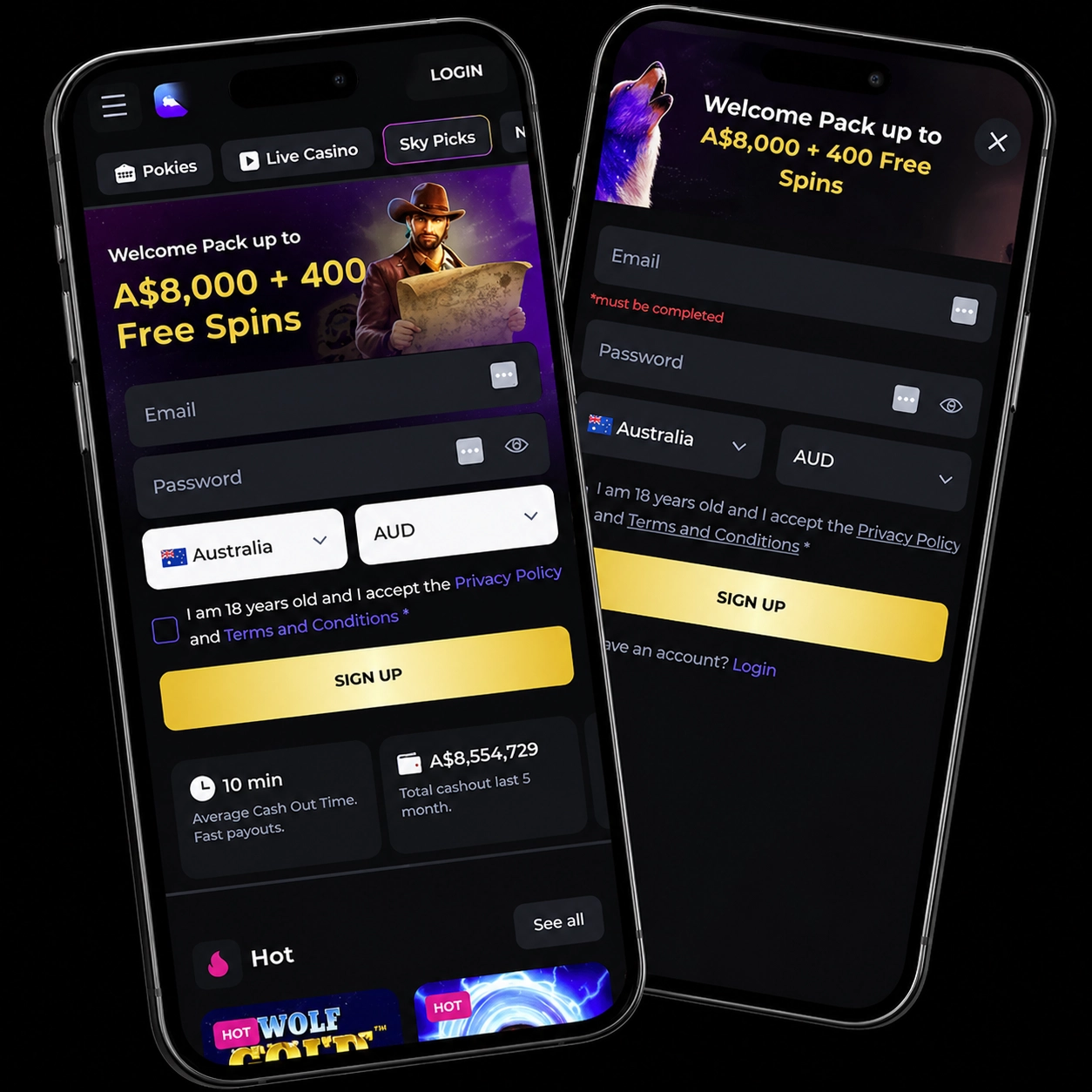 Sky Crown mobile app login screen